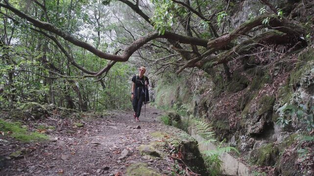Woman solo traveler walking along Levada in Madeira island. Beautiful scenery of trail for hiking area in Madeira, Portugal