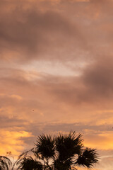 An energetic, vibrant orange sunset against the backdrop of Coral Island in Pattaya, Thailand.
