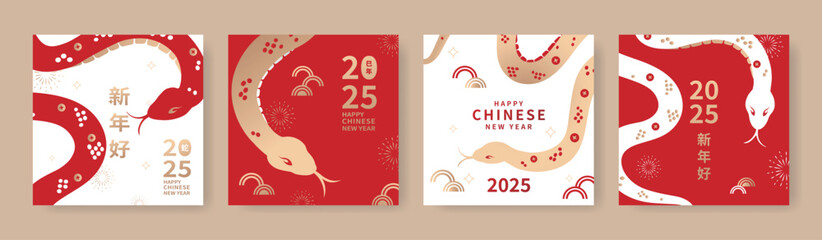 A set of Chinese New Year card designs celebrating the 2025 Year of the Snake, featuring traditional floral and Asian patterns with New Year elements. Translation: Lunar New Year.