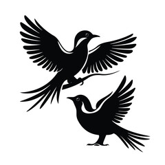 Obraz premium owl icon, owl on branch, owl sitting on branch, owl vector