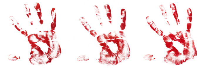 High-Quality PNG of Bloody handprint Isolated on White Background – High Resolution