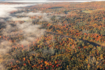 Foggy autumn forest landscape. Drone photo from above through fluffy clouds. Drone flight over...