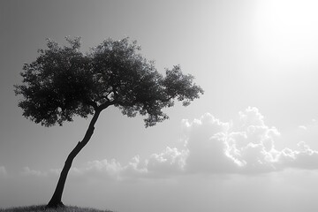 A lone tree silhouetted against a cloudy sky in black and white