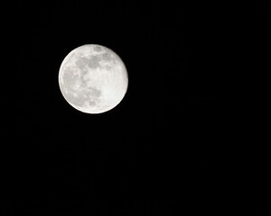 Obraz premium Full moon is bright against a dark night sky..