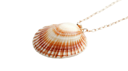 Shell necklace on white isolated background, perfect for beach lovers.