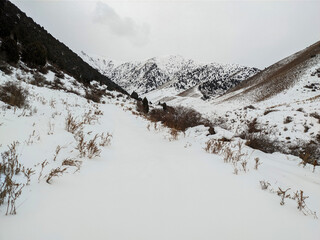 Winter view of snow-capped mountains landcape. Vivid natural scenery photo.