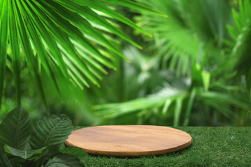 Wood podium table top floor in outdoors tropical garden forest blurred green leaf plant nature background.Natural product placement pedestal stand display,jungle paradise concept.