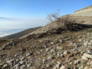 View of autumn or winter landcape with mountains and hills. A tree stands on a slope. Vivid natural...