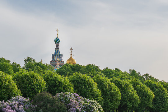 The russian orthodox church of the Savior on the spilled blook in Saint Petersburg. High quality photo