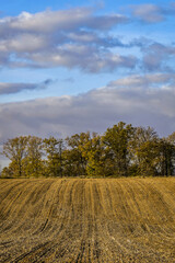 Obraz premium Champ labouré en automne