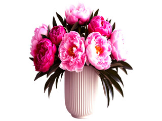 pink peony flower