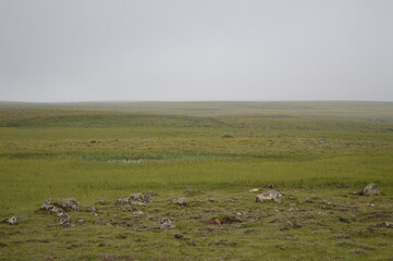Obraz premium Cloudy day, green fields