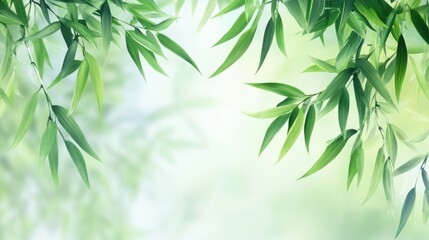 Obraz premium Vibrant green bamboo leaves gracefully framing a softly blurred, serene backdrop creating a tranquil and calming atmosphere.
