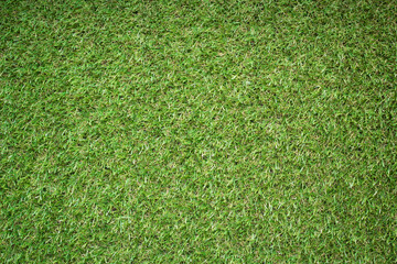 Artificial Green Grass texture background