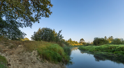 A river runs through a forest with trees on both sides