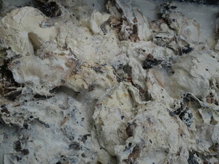 Rubber tapping is done by cutting or slicing the bark using certain methods or techniques, with the aim of obtaining sap or latex. which is often found in Southeast Asian countries