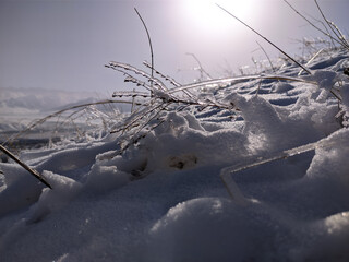 Winter landscape. Beautiful snow and ice on the grass in the fog at sunset.
