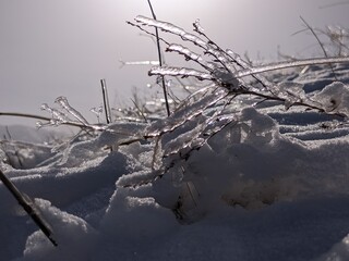 Winter landscape. Beautiful snow and ice on the grass in the fog at sunset.