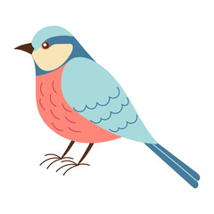 A blue and pink bird is standing on a white background. The bird has a curious expression on its face