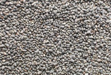 overhead view of blue speckled beans on a metal tray, top view of nigerian army beans, black speckled heirloom beans