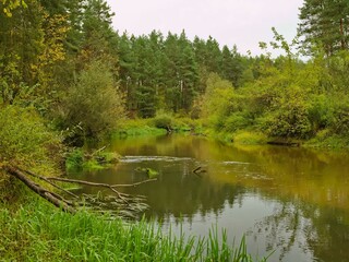 The Tanew River in autumn.