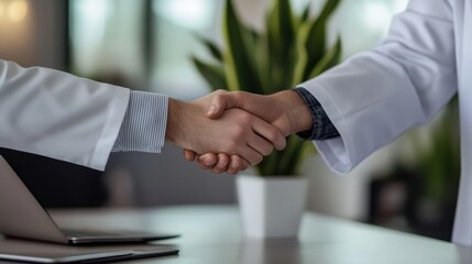 Fototapeta premium The Professionals Shaking Hands.