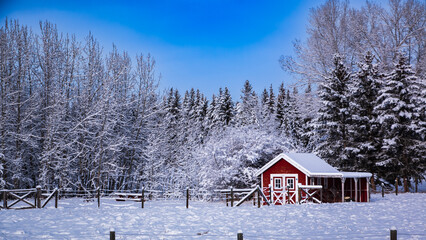 Red Barn in Winter
