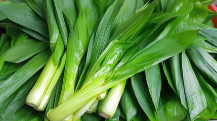 Obraz premium Image vibrant, fresh leeks with long green tops and crisp white bulbs. perfect for culinary themes, it emphasizes farm-to-table freshness and wholesome nutrition.