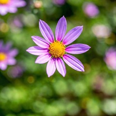 Obraz premium Capture a macro view of a cluster of spring flowers, highlighting the fine details of their stamens and pistils. Emphasize the subtle variations in color and texture, with a shallow depth of field to 