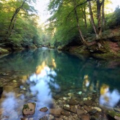 Obraz premium A full shot of a quiet river with fish flowing through a forest at eye level, with trees lining the banks and reflections in the water.