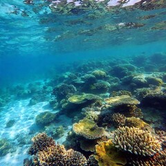 Fototapeta premium Wide shot from an over-the-hip angle showcasing a vibrant underwater world with a backdrop of pollution, with deep focus to highlight both beauty and degradation.