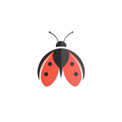 Obraz premium Ladybug icon