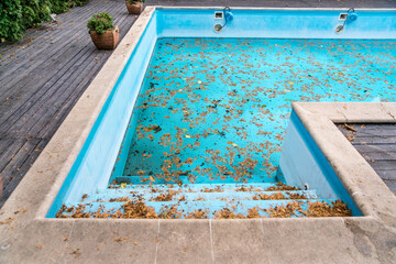 Dirty swimming pool, leaves floating on water