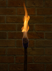 Burning wooden torch against brick wall.