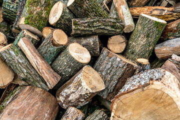 Fototapeta premium Large pile of chopped pieces of firewood