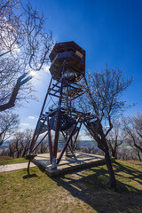 Almond tree orchard in Hustopece, South Moravia, Czech Republic