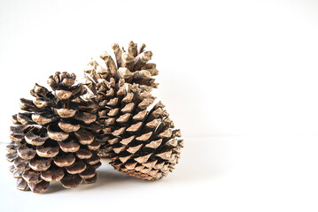 Beautiful pine cones on white background. Christmas holiday concept