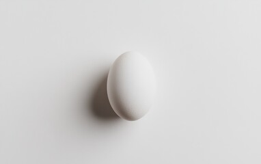 Single fresh egg with a clean shell, placed neatly on a white background, studio-quality lighting 