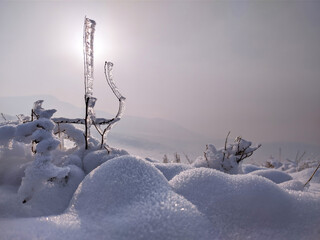 Winter landscape. Beautiful snow and ice on the grass in the fog at sunset. A beautiful figure from...