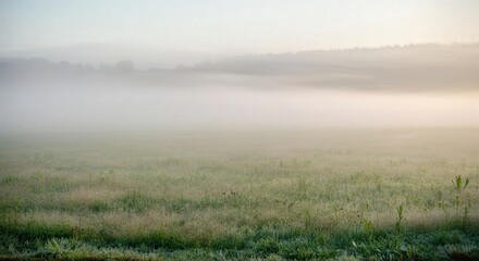 Misty meadow at dawn with rolling hills in the distance