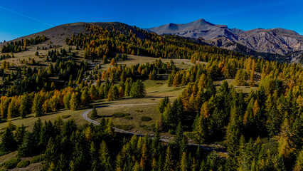 Foret d'automnes col de la Couillole