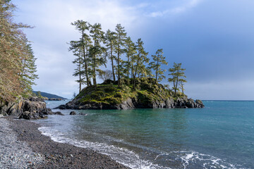 Small island with pine trees beside beach