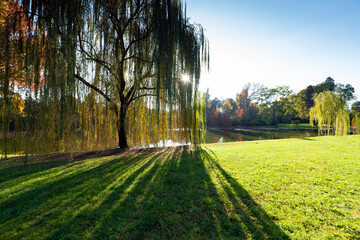 Obraz premium Italia, Toscana, Lucca, Marlia la villa Reale e il parco.