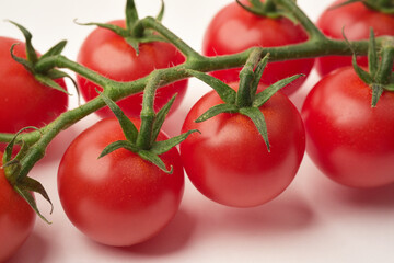 Close up photograph of red cherry tomatoes on the vine with selective focus. 