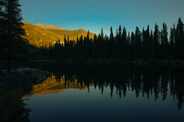 Lake Clark National Park, Alaska. A beaver dam or beaver impoundment is a dam built by beavers to create a pond © IBRESTER