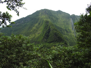 Dichter Urwald mit hohem Wasserfall auf La Réunion