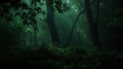 A calming and mysterious green background perfect for conveying secrecy or silence, quiet, mysterious