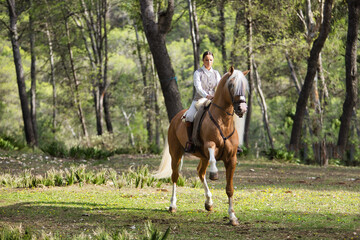 person riding horse