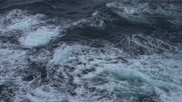 Bugwelle eines F&auml;hrschiffes