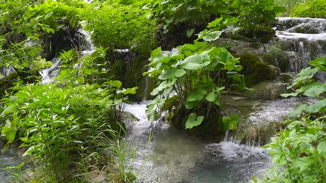 wodospady park narodowy chorwacja turysta krajobraz morze piękne widoki 